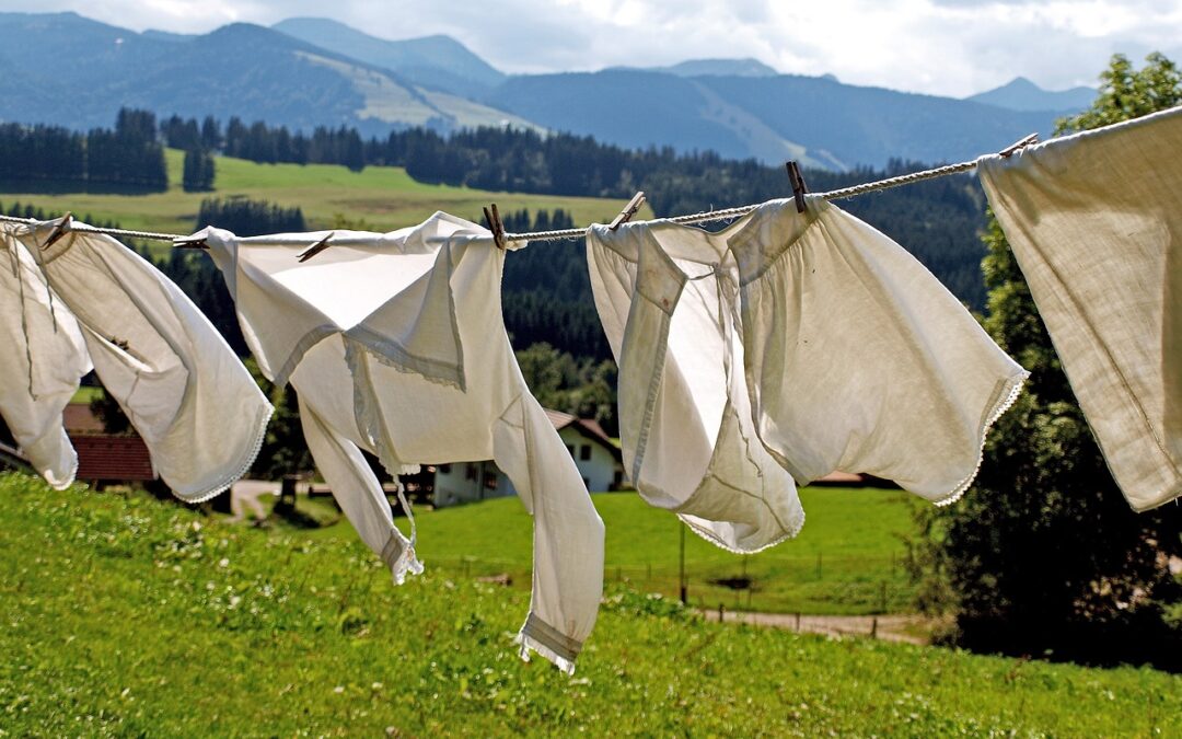 Quarrel with the neighbor: a peaceful way to deal with the washing plan.